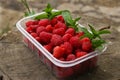 The bright, juicy and delightful berries of raspberry stationed oneself on a log, build in a transparent box